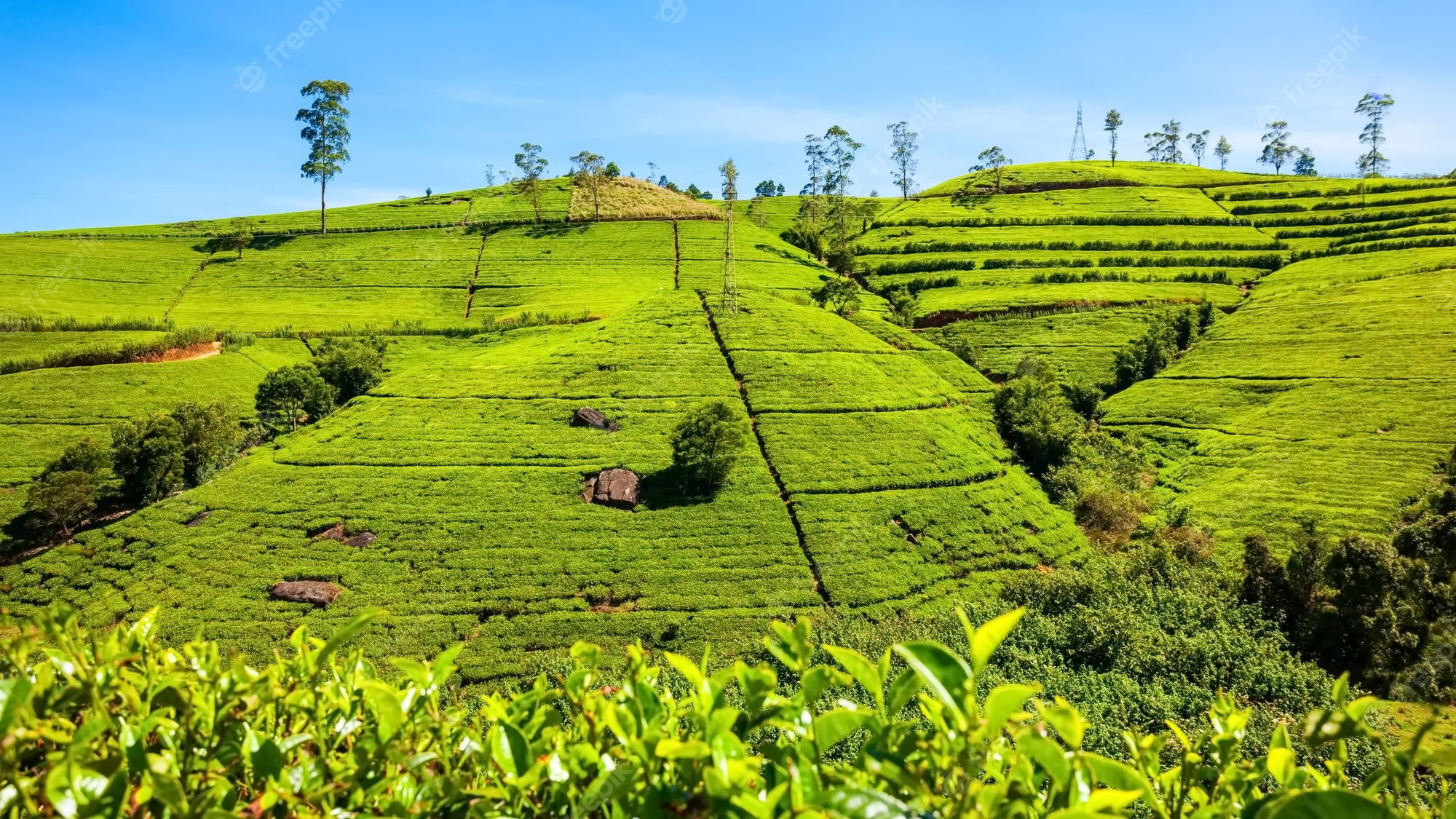 Sri Lanka travel experience
