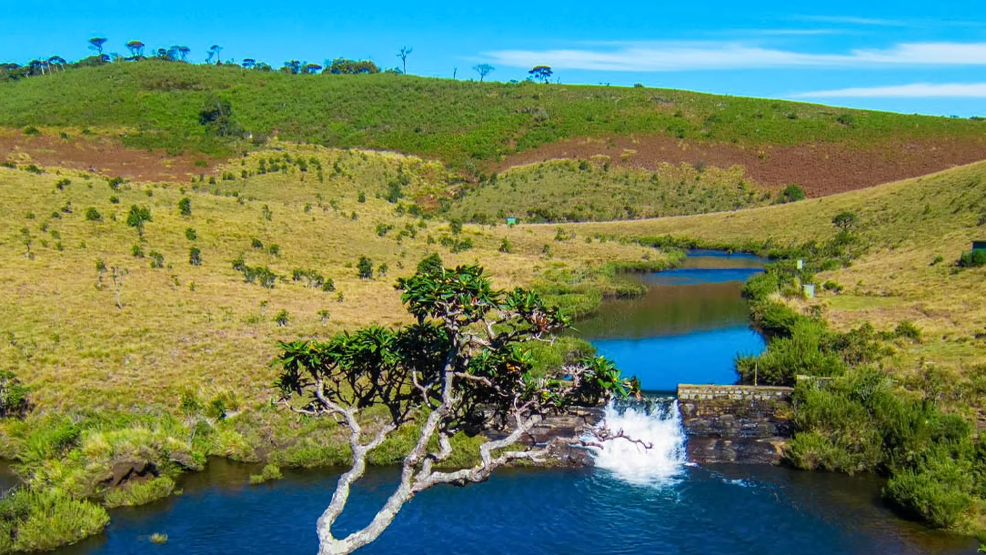 Horton Plains trekking landscape