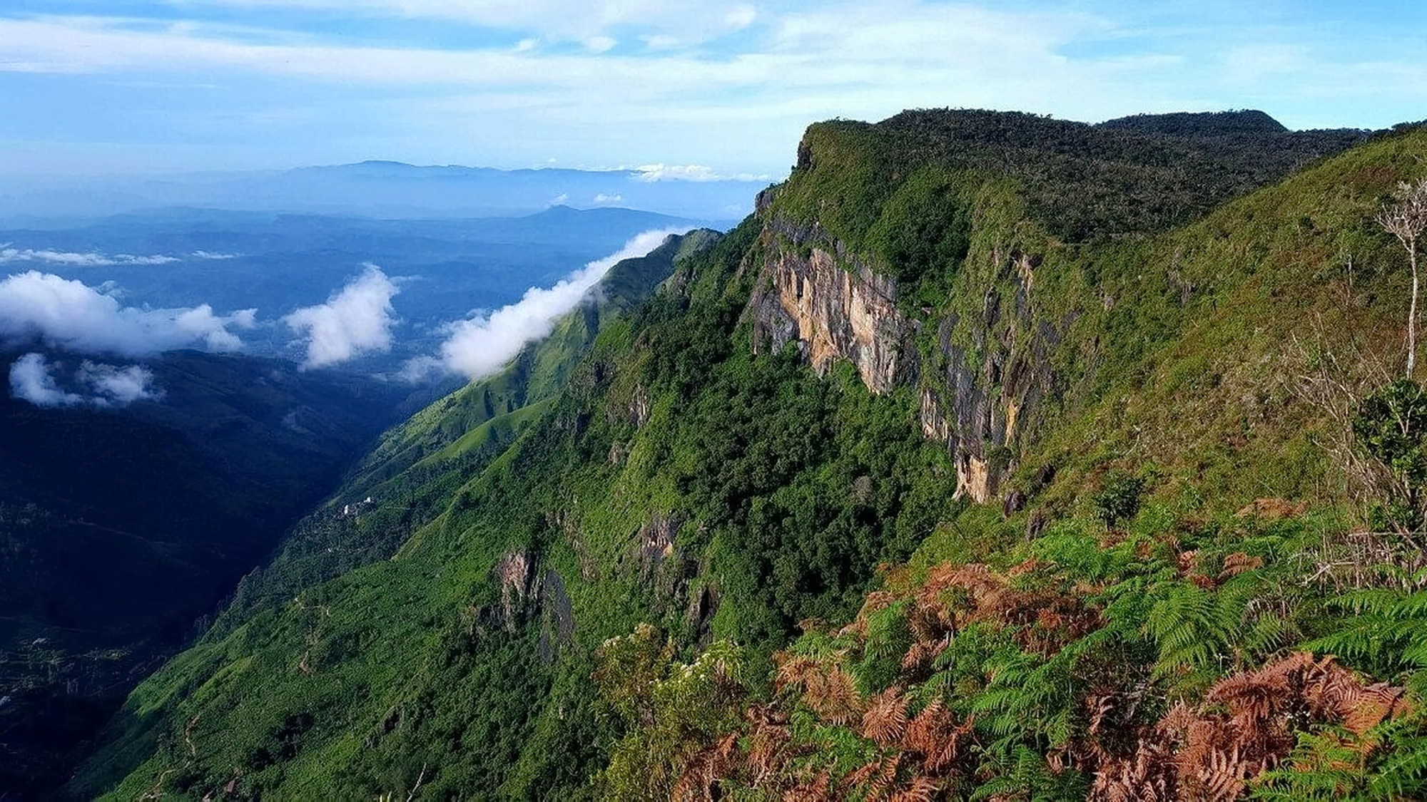 Horton Plains trail scenery