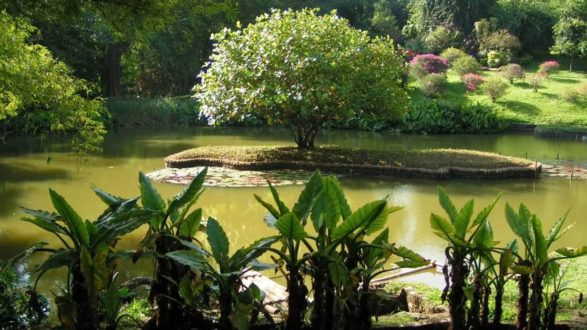 Peradeniya Botanical Gardens