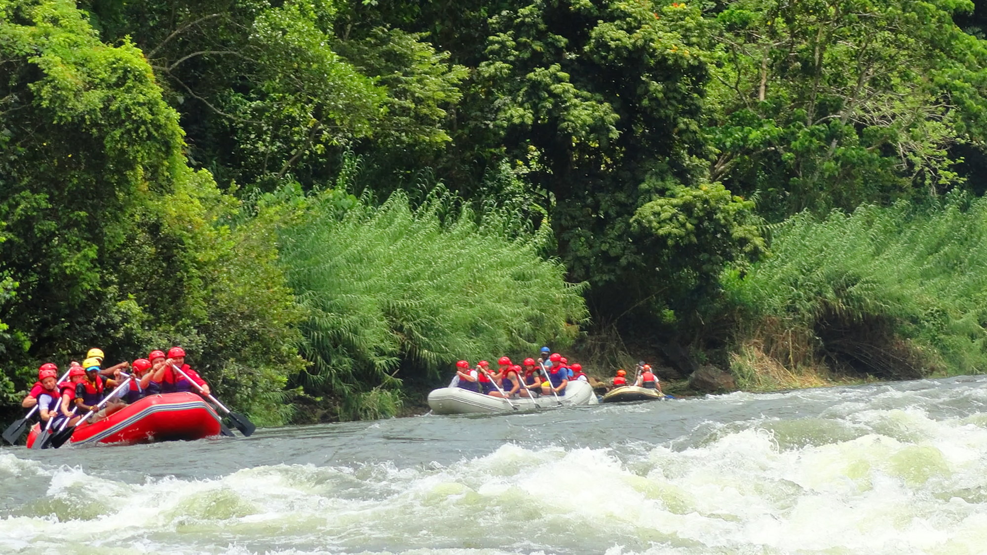 Wildlife and adventure scenery for a Sri Lankan expedition