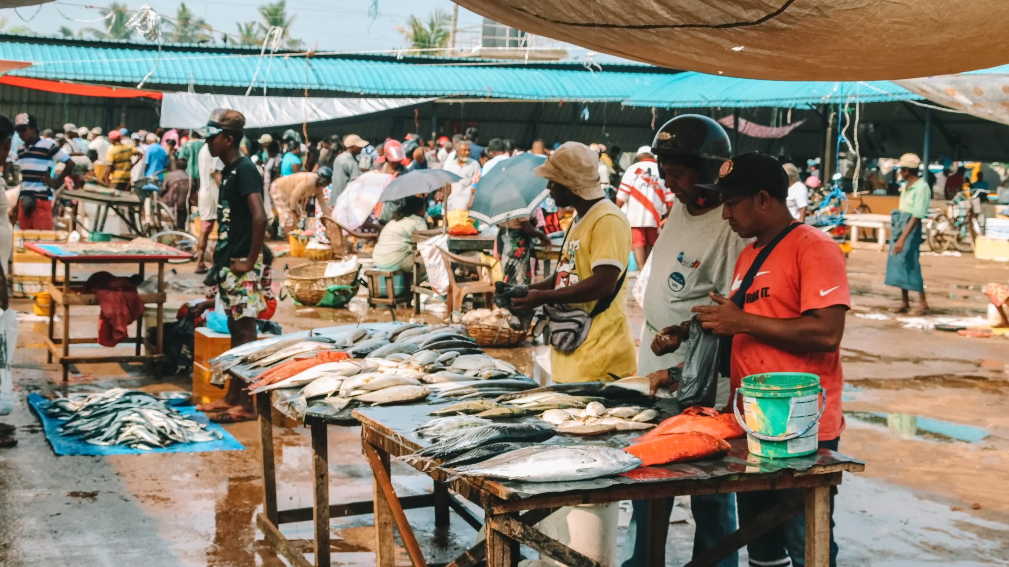 Local experiences and culinary discoveries in Negombo