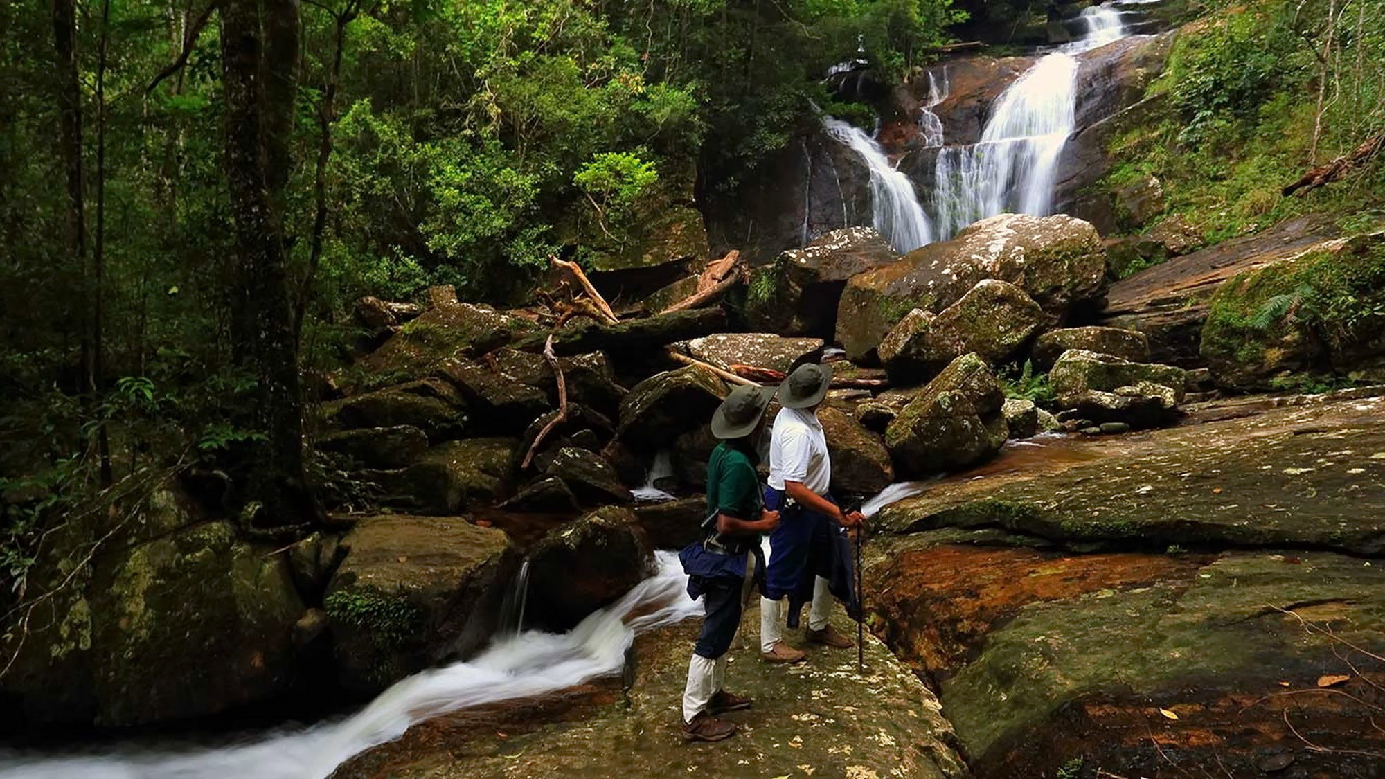 Sinharaja forest trail