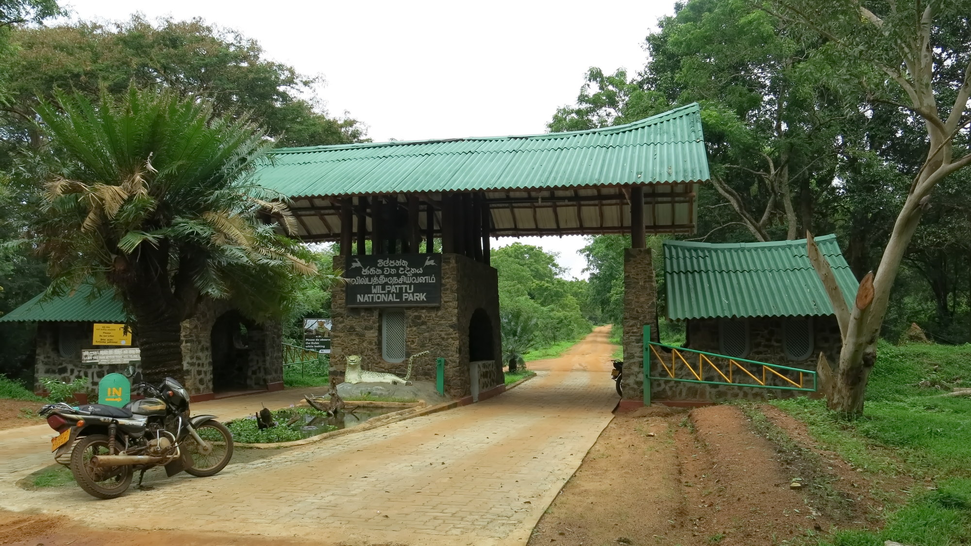 Wilpattu National Park landscape