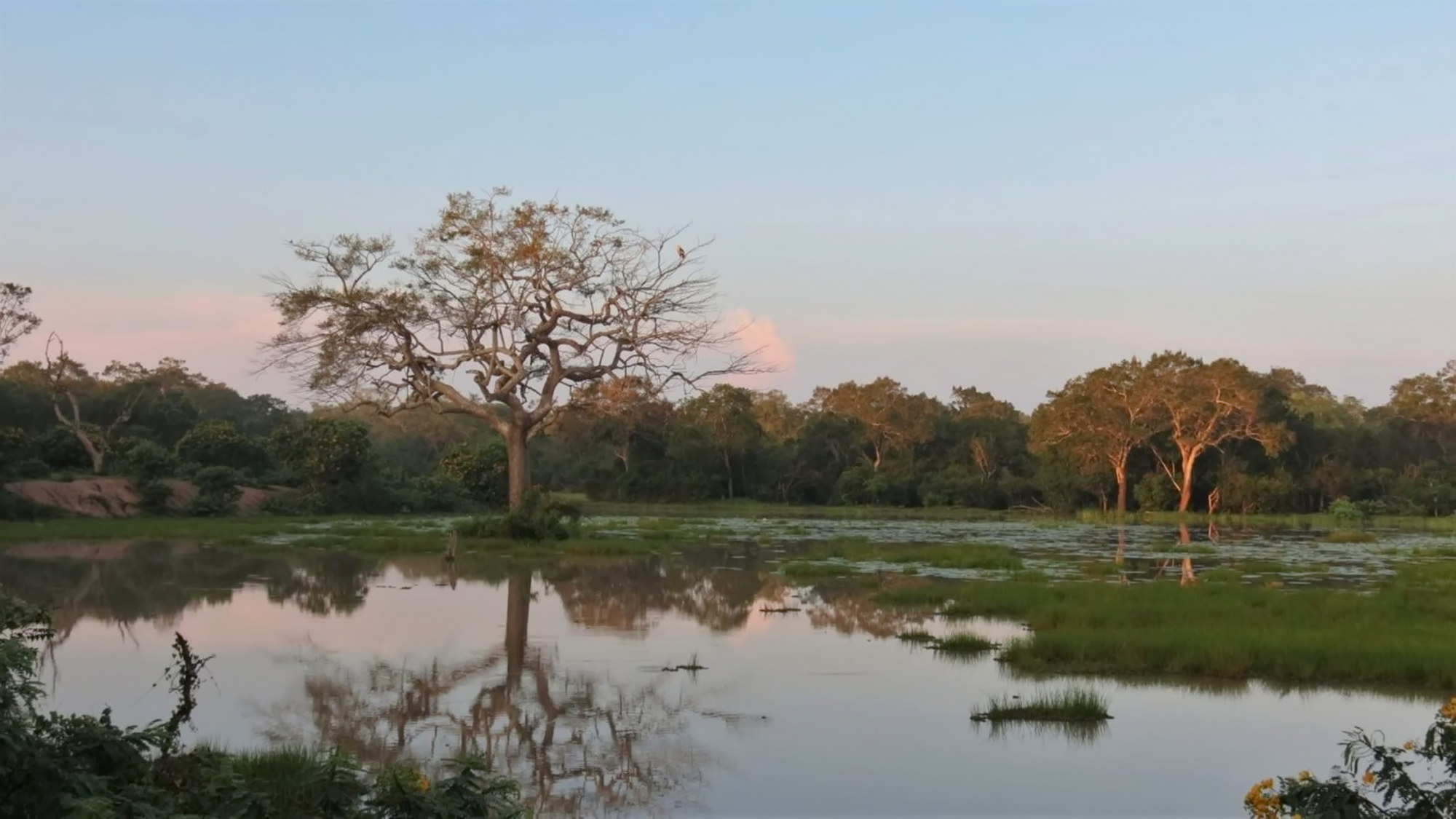 Wilpattu destination scenery