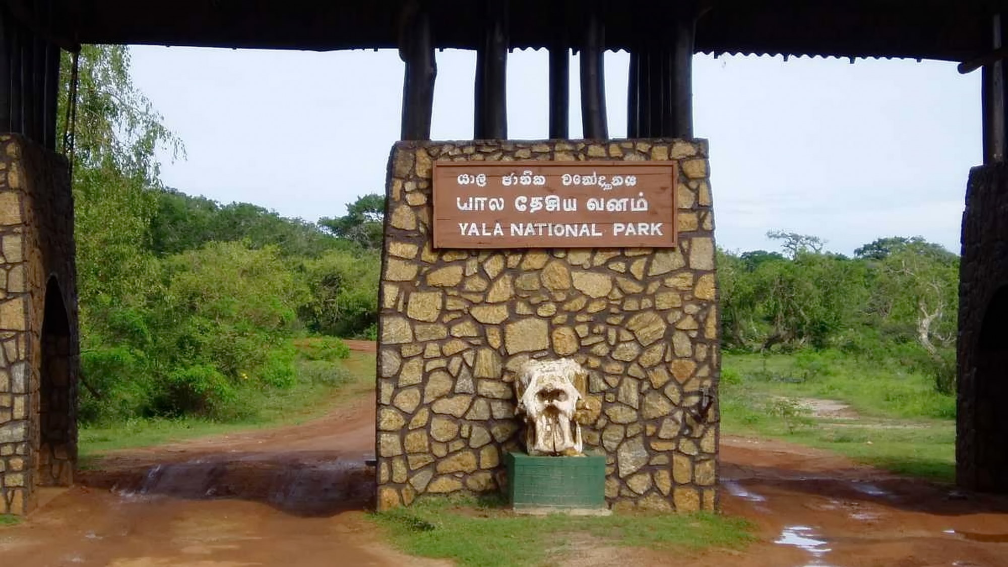 Yala National Park wildlife