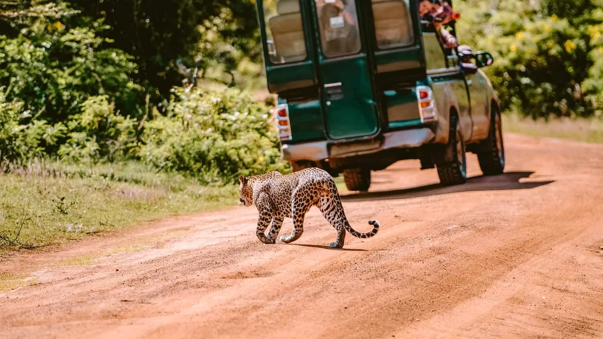 Yala wildlife destination